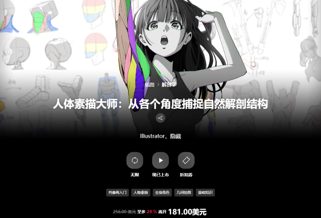 画师Hide 从各个角度捕捉自然解剖结构