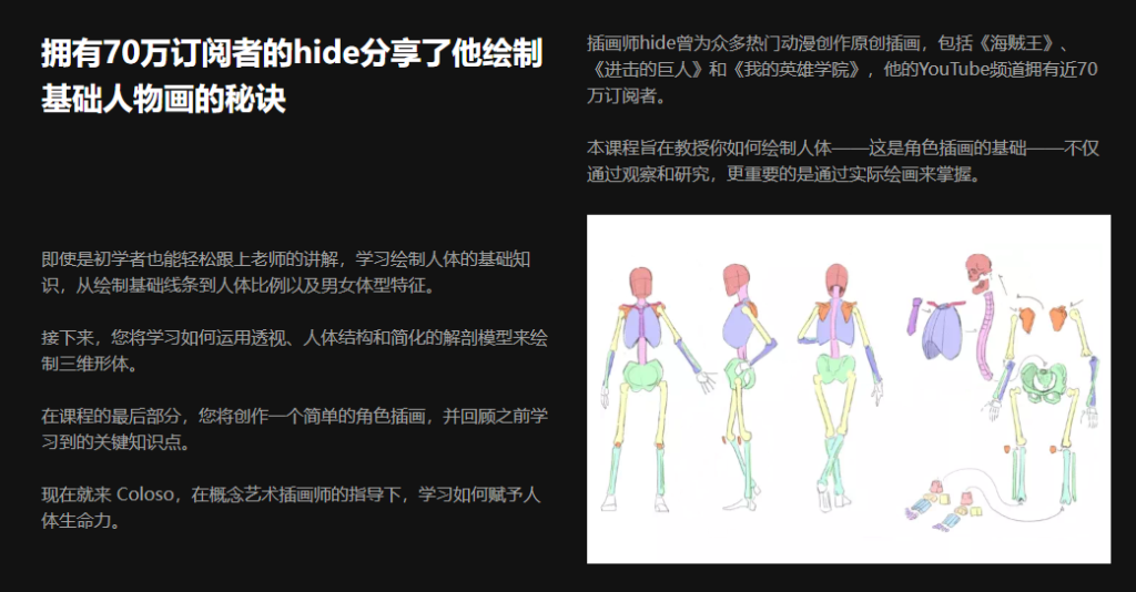 画师Hide 从各个角度捕捉自然解剖结构