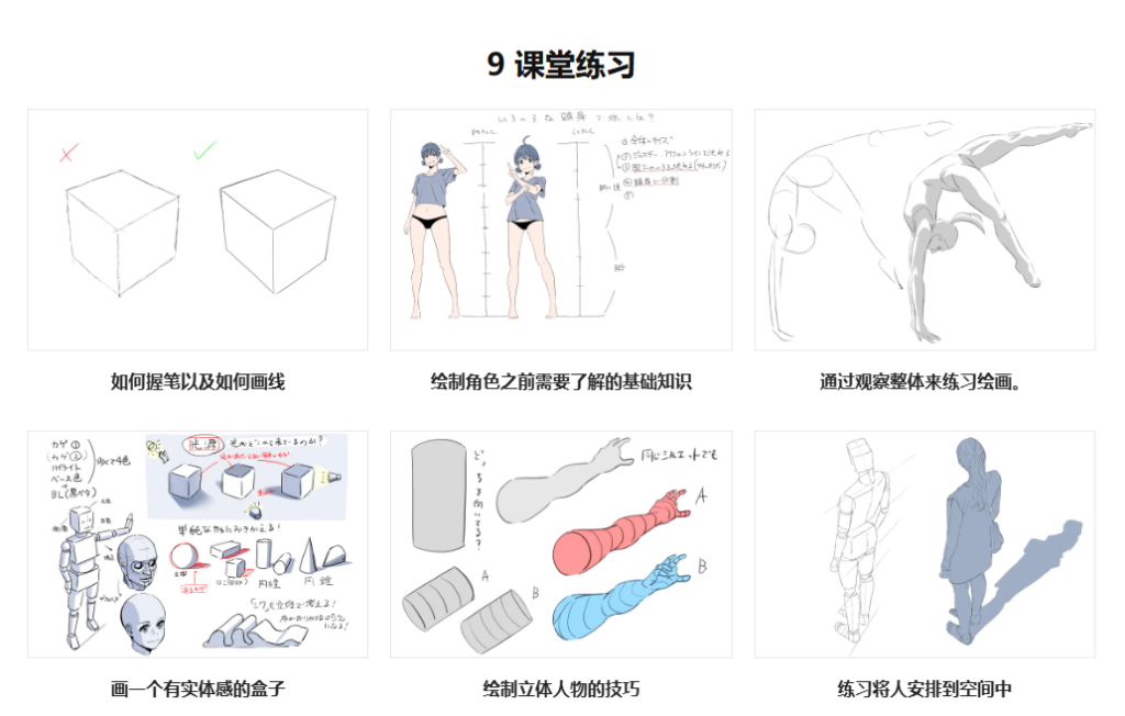 画师Hide 从各个角度捕捉自然解剖结构