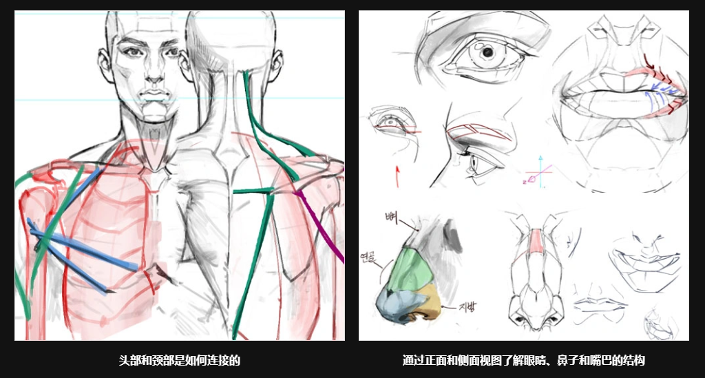 插画师Jida 运用立体造型和明暗技巧打造极具吸引力的面孔
