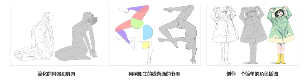 画师Hide 从各个角度捕捉自然解剖结构