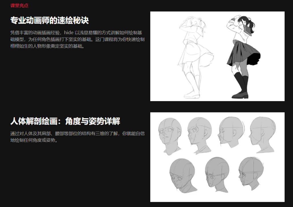 画师Hide 从各个角度捕捉自然解剖结构