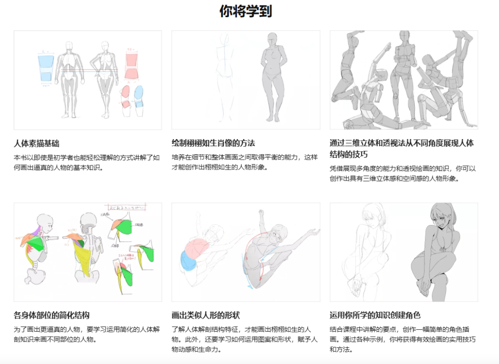 画师Hide 从各个角度捕捉自然解剖结构