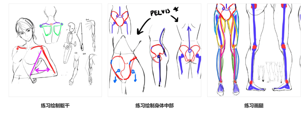 GuWeiz 构建角色插画基础