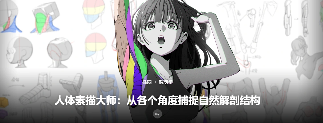 画师Hide 从各个角度捕捉自然解剖结构-CG绘画